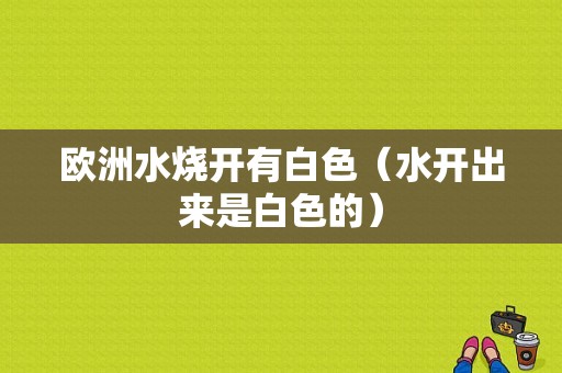 欧洲水烧开有白色（水开出来是白色的）