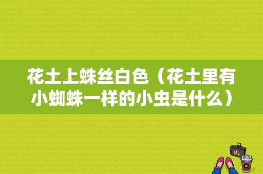 花土上蛛丝白色（花土里有小蜘蛛一样的小虫是什么）-图1