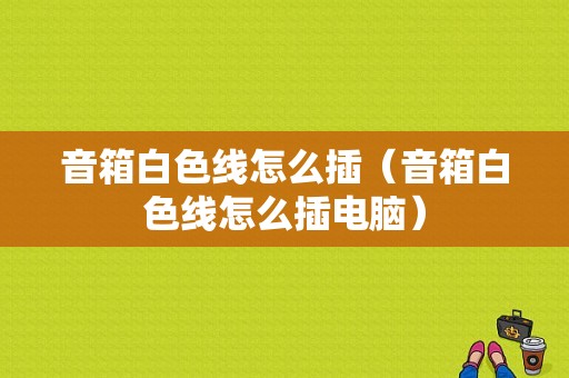 音箱白色线怎么插（音箱白色线怎么插电脑）-图1