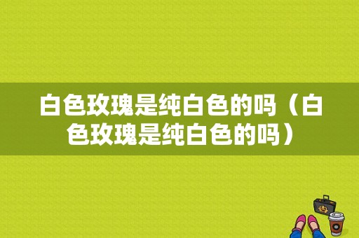 白色玫瑰是纯白色的吗（白色玫瑰是纯白色的吗）-图1