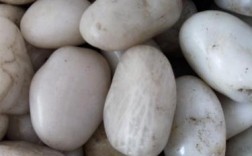 白色的鹅卵石（白色的鹅卵石像什么）