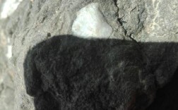 黑色石头有白色条纹（黑色石头白色条纹是什么）