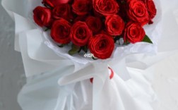 白色包装着红色玫瑰（白色包装的红玫瑰）