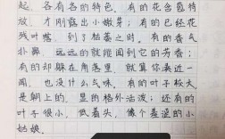 白色仿（白色仿写金字塔第二段以颜色）