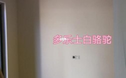 多乐士哪个白色好看吗（多乐士白色和其他颜色价格一样么）