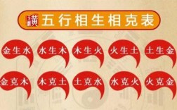 白色在五行中属什么（白色在五行中属什么属性呢）