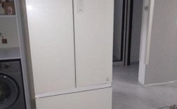米白色冰箱门（冰箱门上白色的门是什么）
