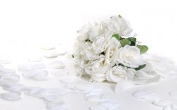 白色的花送人（白色的花送人好不好）