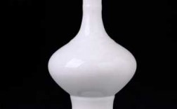 白色花瓶材质参数（白色花瓶材质参数有哪些）