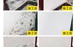 白色防潮防霉涂料（白色防水涂料怎么去掉）