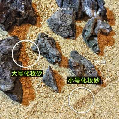 鱼缸底下铺白色沙子（鱼缸底砂出现白色雾状）-图3