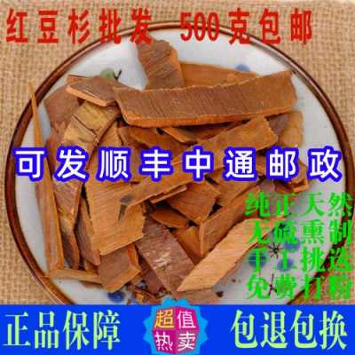 红豆杉树皮是白色的（红豆杉树皮泡水是什么颜色）-图3