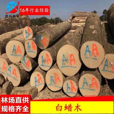 中国最贵的白色木材（中国最贵的木料是什么木料）-图1