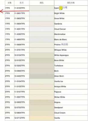 白色潘通色卡（白色的潘通色号）-图3