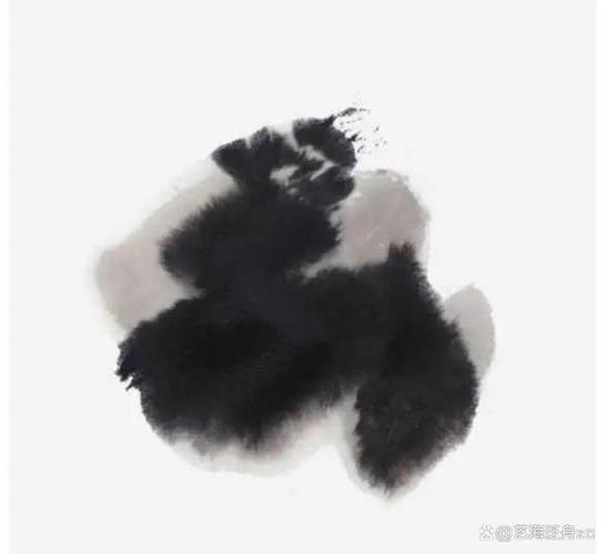 墨白色什么颜色（墨色白画）-图2