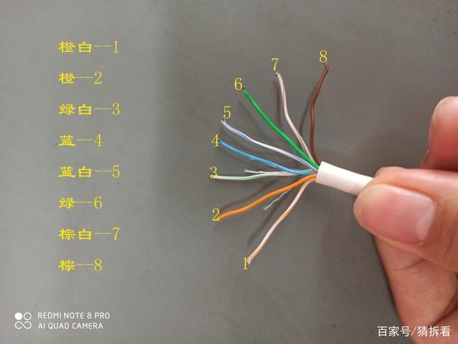 带白色的网线（白色的网线插哪里）-图1