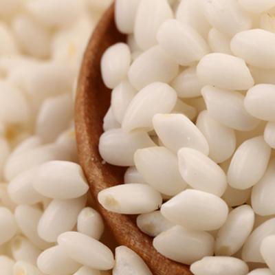 白色米有哪些种类（白色的米是糯米吗）-图1