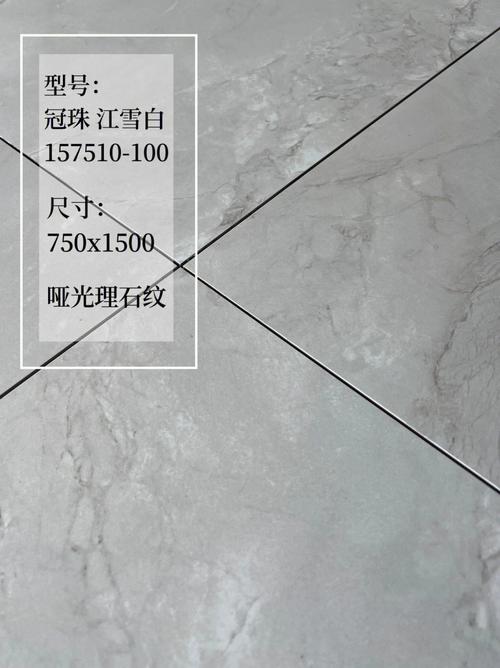 冠珠白色陶瓷（冠珠白色系列瓷砖）-图1