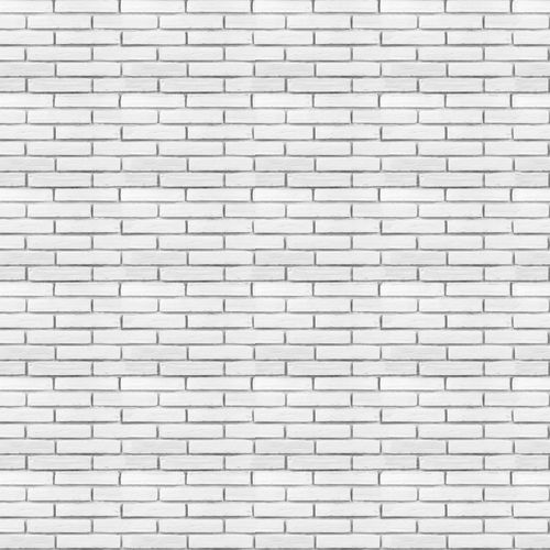 白色小砖（白色砖块是什么砖）-图2