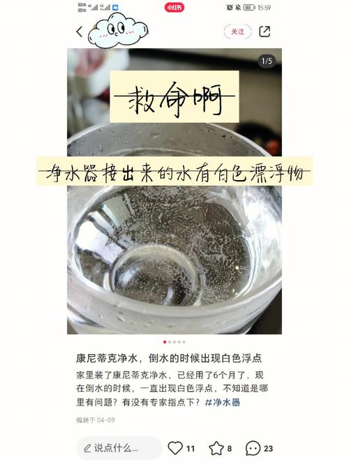 过滤水有白色漂浮物（过滤水有白色漂浮物怎么回事）-图3