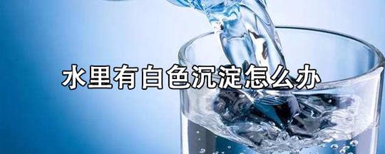 过滤水白色点（过滤水里面有白色沉淀）-图2