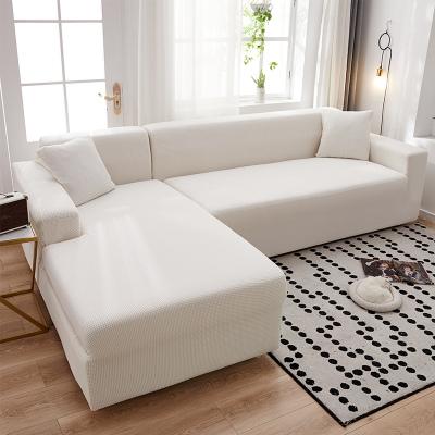 白色沙发配地板（白色沙发配什么颜色沙发垫好看）-图3