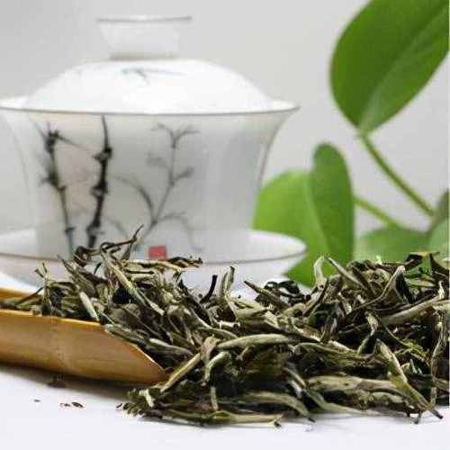 白色树根茶（白茶树根的药用功效）-图1