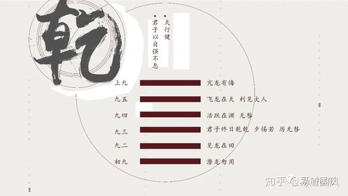 乾卦头部金色白色（乾卦头部金色白色什么意思）-图2