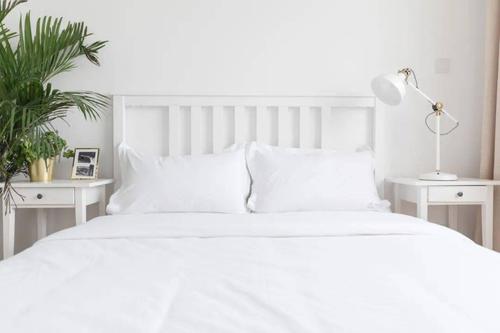 白色的床配什么壁纸（白色的床搭配什么床单）-图1