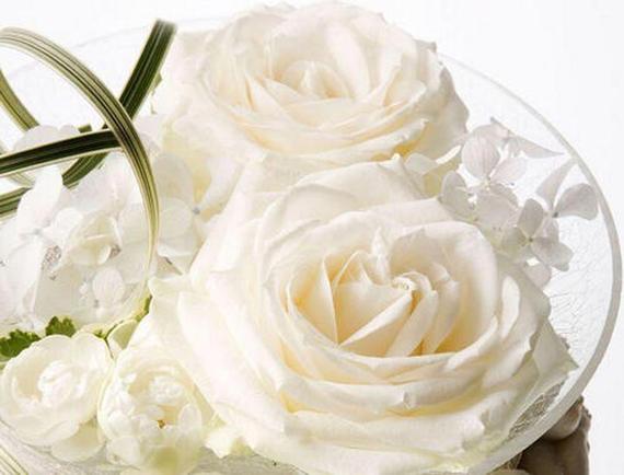 白色的玫瑰花语（白色的玫瑰花语是啥）-图2