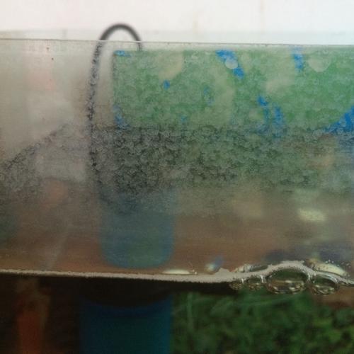 鱼缸玻璃上有白色水垢（鱼缸玻璃外面的白色水垢怎么去除）-图2