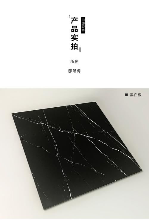 白色瓷砖黑色门效果（白色瓷砖黑色花纹的瓷砖图片）-图2