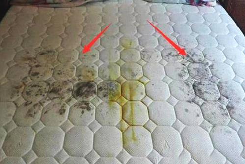 床垫里面有白色颗粒（床垫里面有白色颗粒是螨虫吗）-图1
