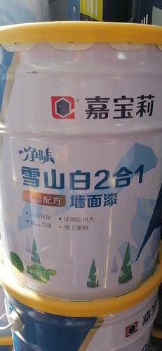 白色油漆多少钱一平米（油漆刷白多少一平）-图3