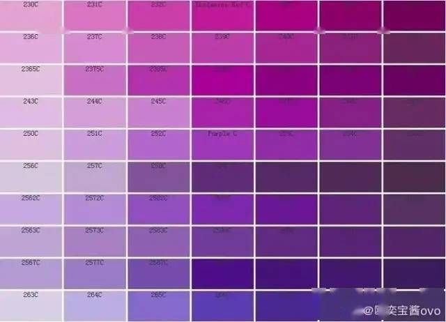 紫色什么色会变白色（紫色由什么颜色调成的）-图1