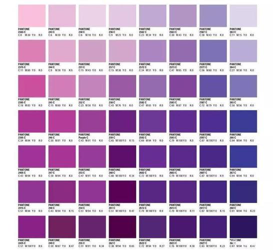 紫色什么色会变白色（紫色由什么颜色调成的）-图3