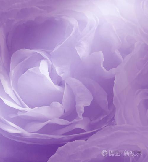 白色和紫色相配（白色和紫色混合在一起是什么颜色）-图2