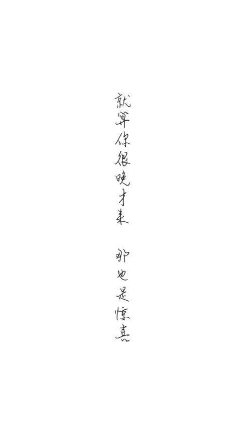 白色字图简约（白色字体壁纸手机图片）-图2