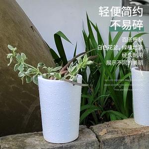 白色的花盆如何装饰（白色花盆怎么装饰）-图1