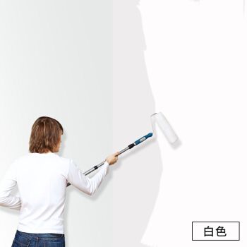 刷墙的白色涂料成分（墙壁刷白的涂料有甲醛吗）-图3