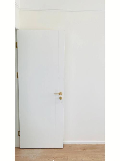 白色烤漆门的样式（白色烤漆门图片2020年流行的样子）-图2