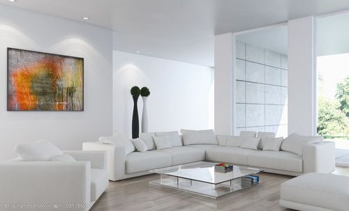 白色现代沙发图片（白色沙发搭配图片欣赏）-图3
