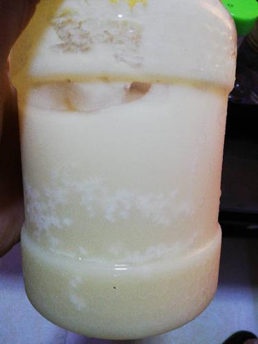 蜂蜜冰箱冷藏后白色（蜂蜜冰箱冷藏后变白色且成固体）-图2