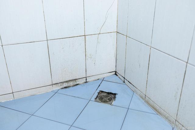 厕所瓷砖下面白色上面（卫生间瓷砖上白色的污垢）-图2