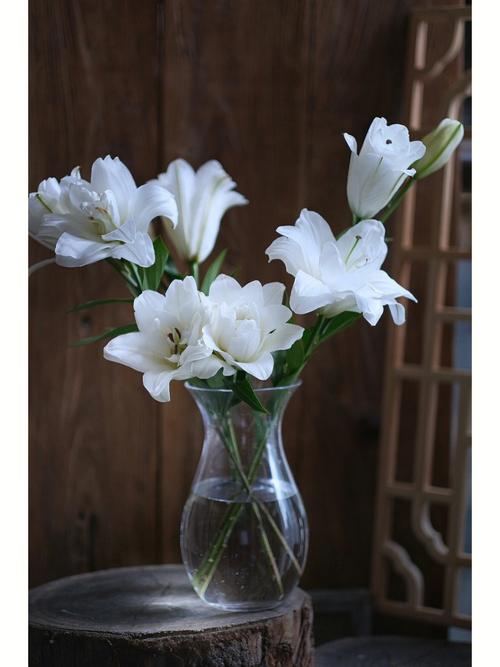 室内放白色的花（室内放白色的花有哪些）-图1
